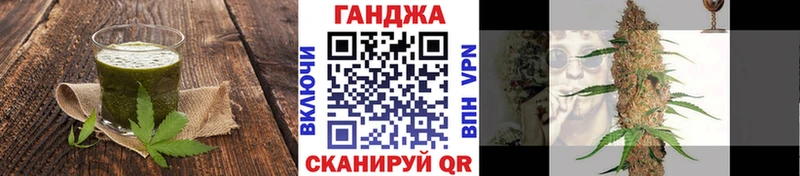 Купить закладки  Жиздра  Canna-Cookies марихуана 