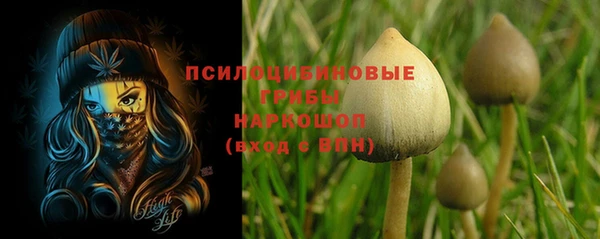 стаф Зеленокумск