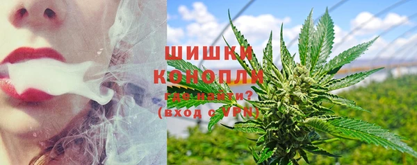 стаф Зеленокумск