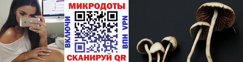 Галлюциногенные грибы ЛСД  Купить где  Жиздра 