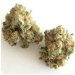 Шишки "White Widow"  (Белая вдова)  Гидропоника -  Бошка VHQ в Жиздре